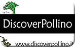Discover Pollino